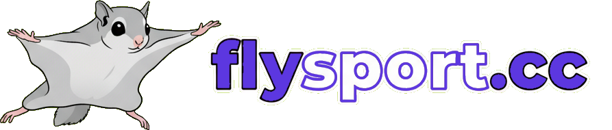 Flysport